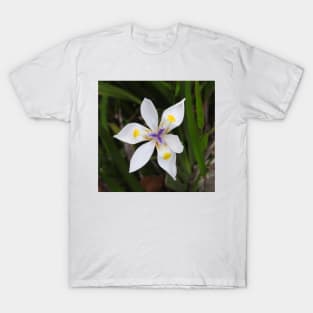 Wild Iris T-Shirt